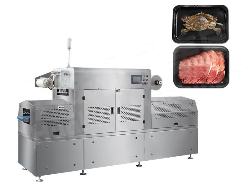 선형 트레이 진공 포장기