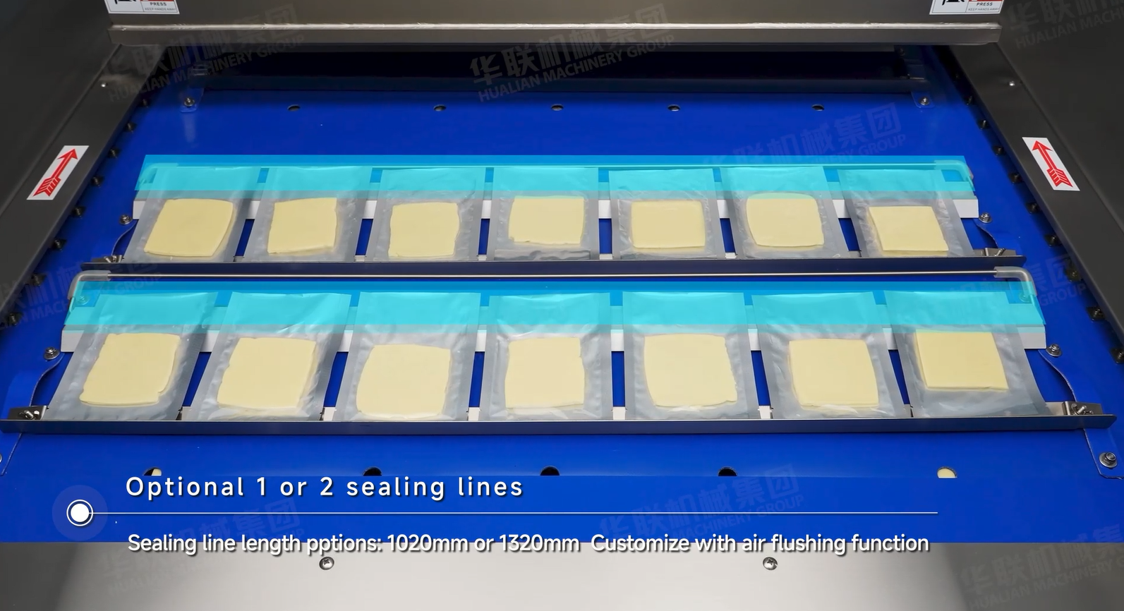 연속 진공 포장기