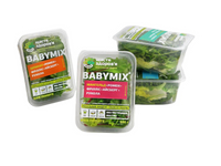 //iororwxhnjjmlq5p-static.micyjz.com/cloud/lmBprKlnlkSRqlkilmomiq/thermoforming-packaging-machine-for-vegetable.jpg