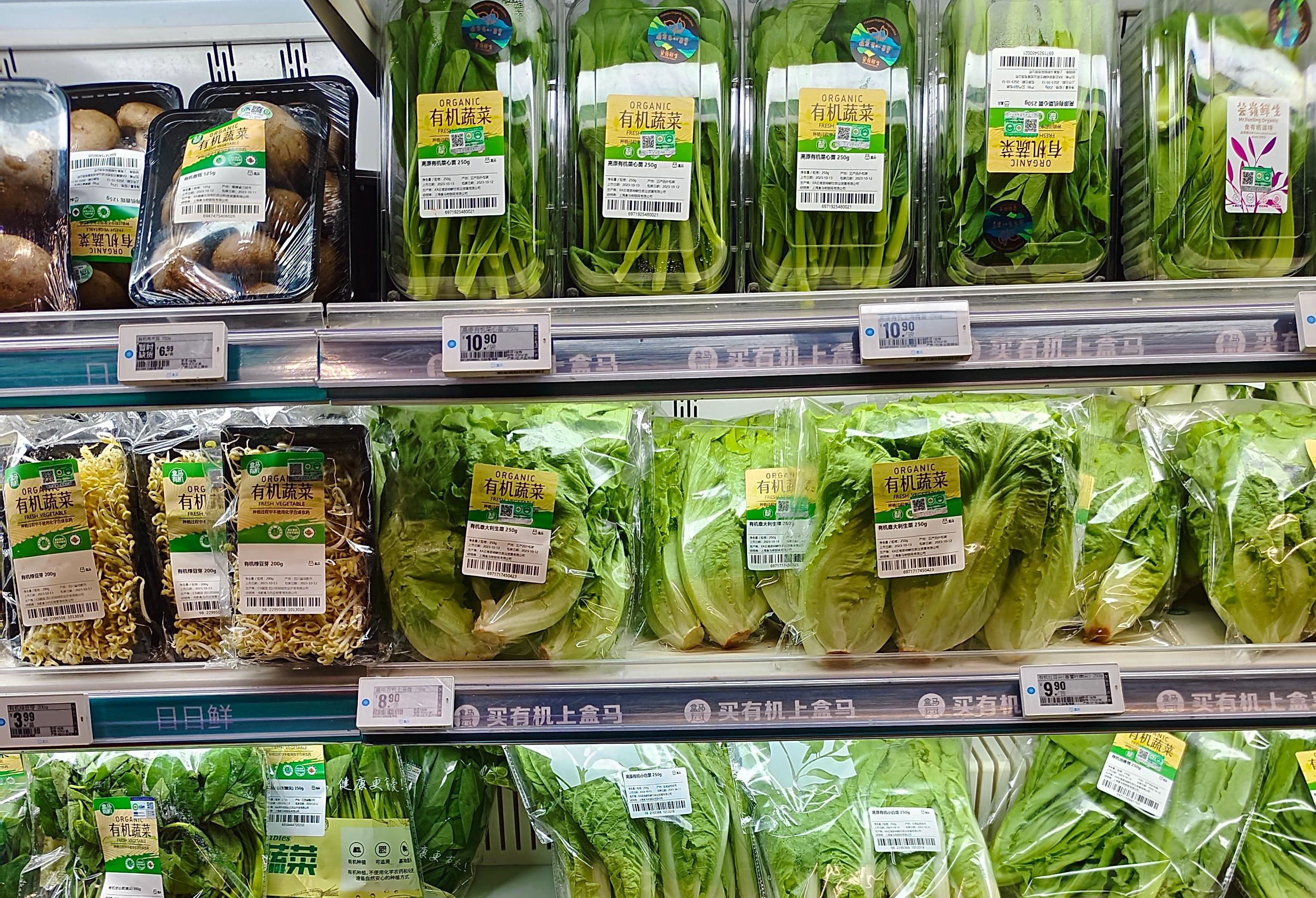 야채지도 포장 기계